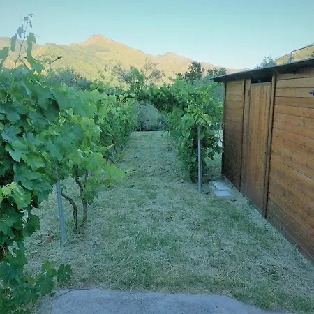 Gole Alcantara Mini Glamping Lanternavacanze Motta Camastra